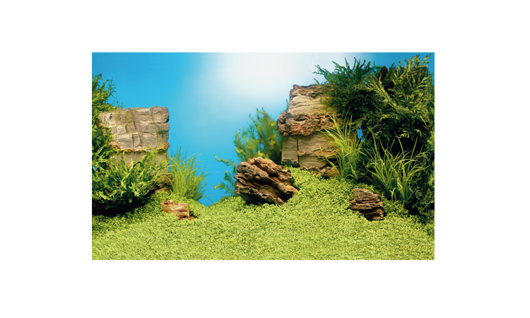 Фон для аквариума Juwel L "Пейзаж и камни" 100х50см