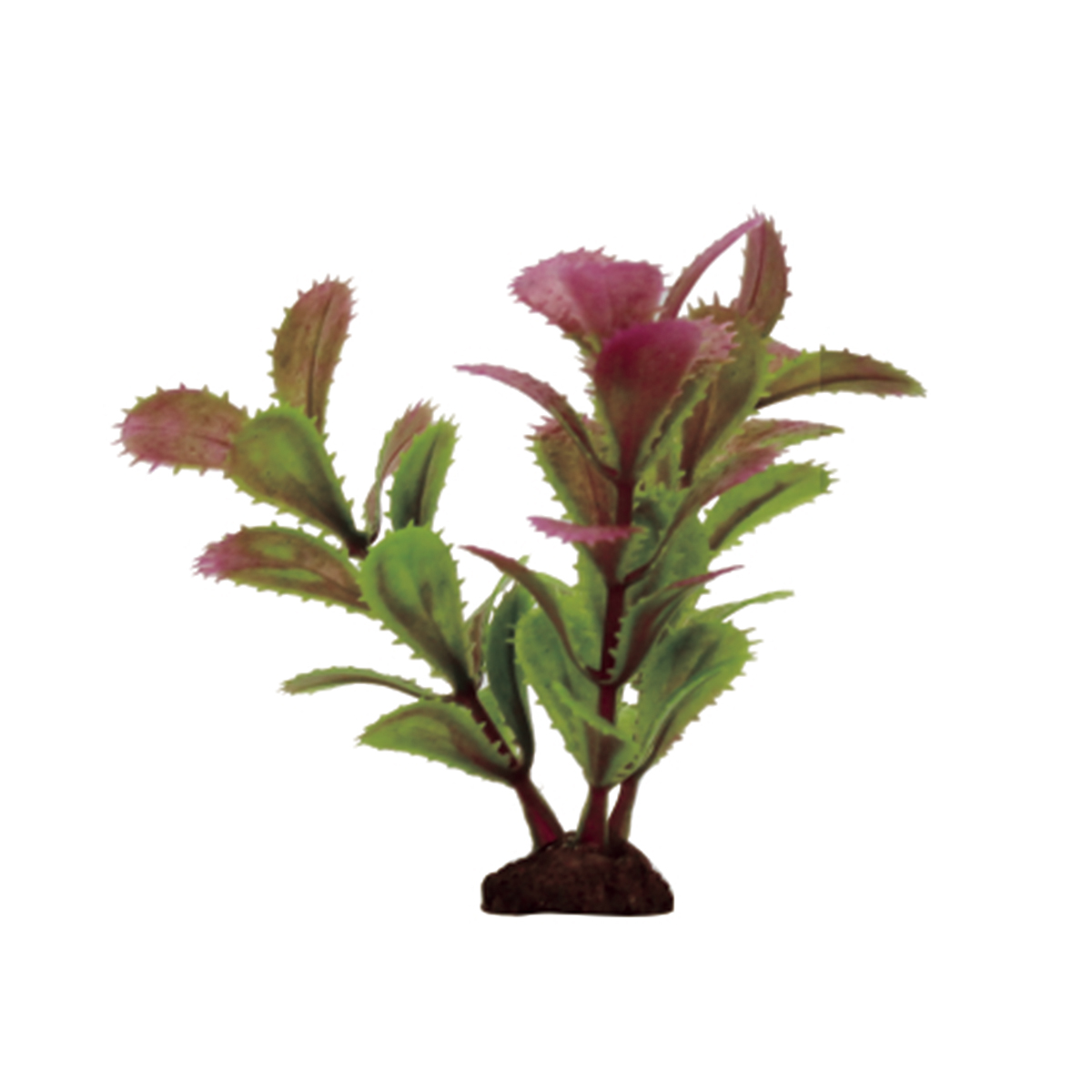 Набор искусственных растений ArtUniq Proserpinaca red-green Set 6x10