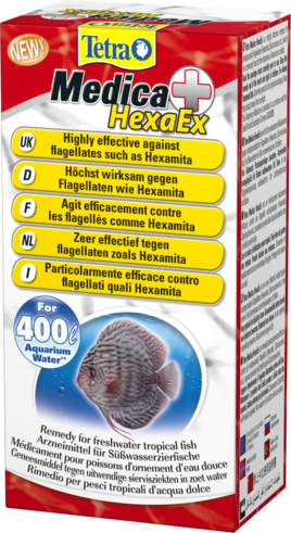 Hexaex  -  6
