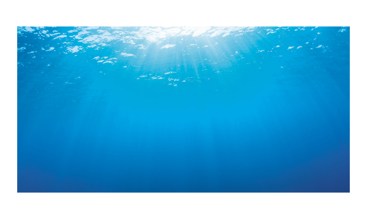 Фон для аквариума Juwel XL "Водная гладь" 150х60см