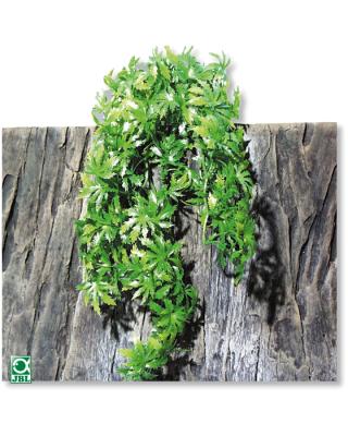 Искусственное растение для террариума JBL TerraPlanta Canabis 65см