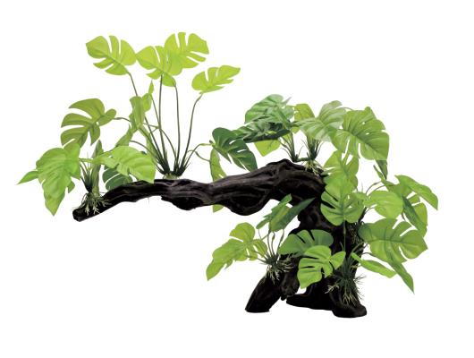 Декоративная композиция ArtUniq Mangrove Driftwood With Philodendron L