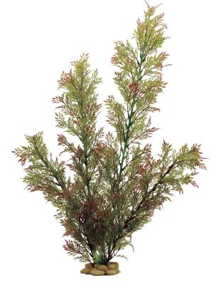 Искусственное растение ArtUniq Ceratopteris thalictroides red-green 60