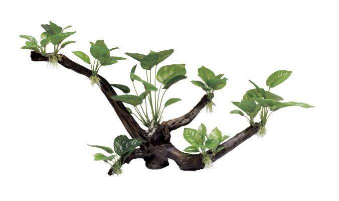 Декоративная композиция ArtUniq Branched Driftwood With Anubias XL