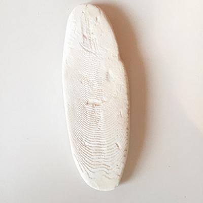 Сепия Бестакватикс Костяной панцирь каракатицы, размер XS, 5шт