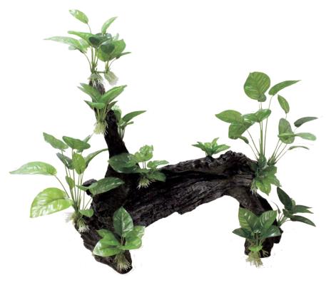 Декоративная композиция ArtUniq Mangrove Driftwood With Anubias XL2