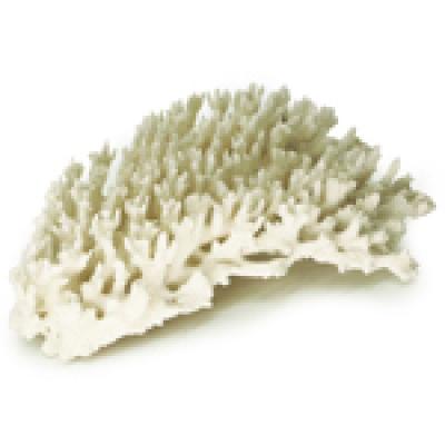 Натуральный коралл  UDeco Branch Coral, цена за 1кг