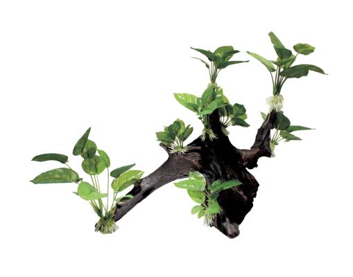 Декоративная композиция ArtUniq Mangrove Driftwood With Anubias XL1