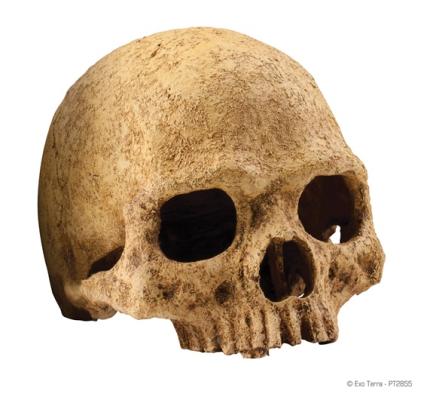 Декорация для террариума Hagen Exo-Terra Primat Skull