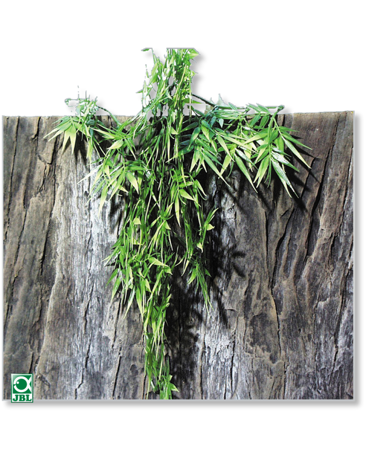 Искусственное растение для террариума JBL TerraPlanta Madag Bambus 50см