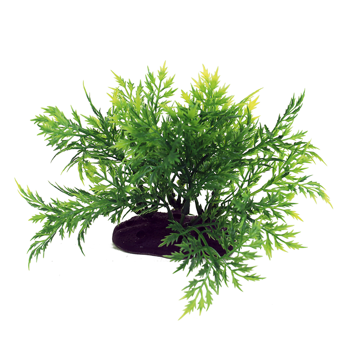 Искусственное растение ArtUniq Bolbitis 10-12