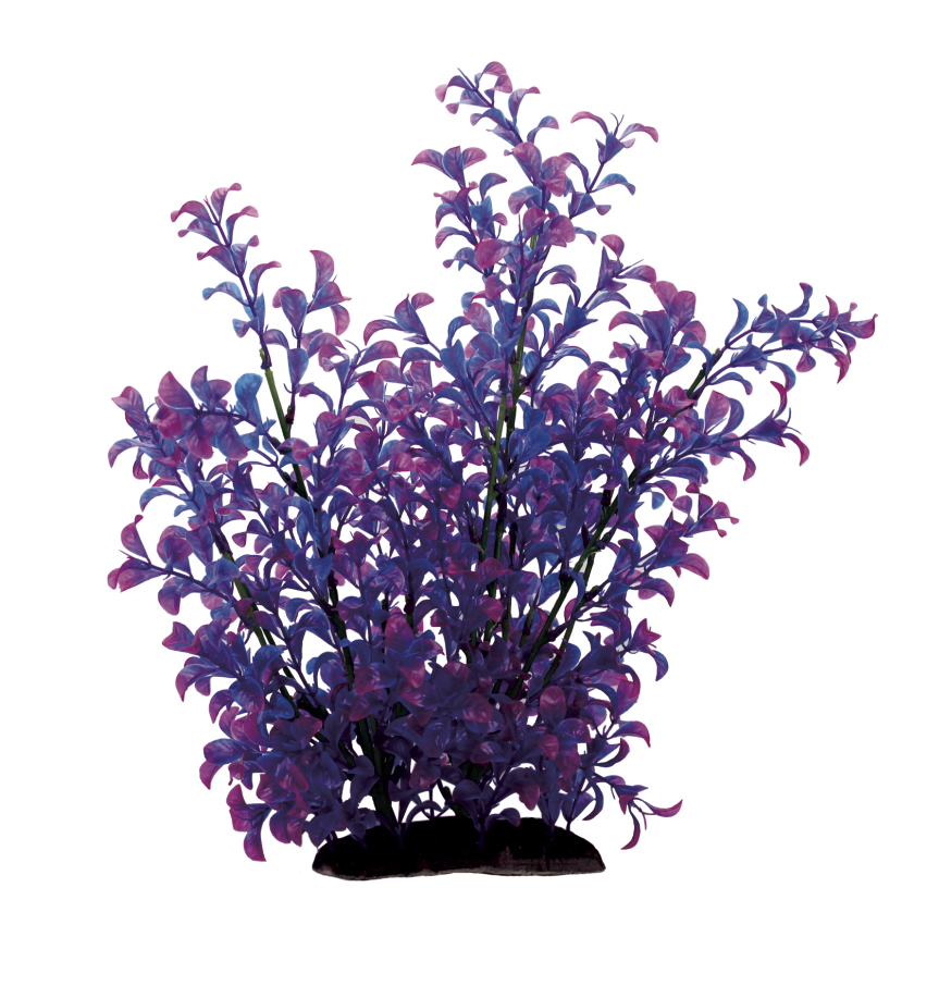 Искусственное растение ArtUniq Ludwigia purple 35