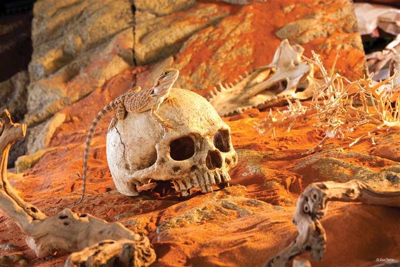 Декорация для террариума Hagen Exo-Terra Primat Skull