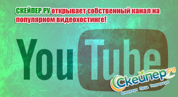 СКЕЙПЕР.РУ открывает канал на Youtube!
