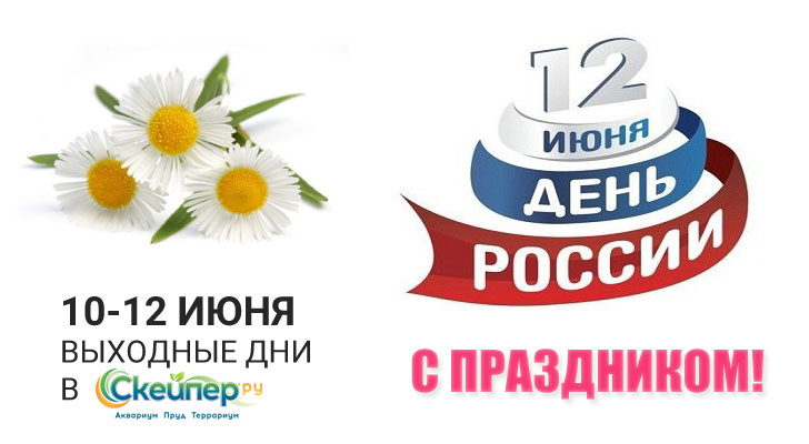 График работы магазина в дни празднования Дня России 2017