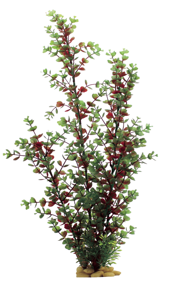 Искусственное растение ArtUniq Bacopa red-green 60