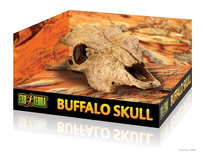 Декорация для террариума Hagen Exo-Terra Buffalo Skull