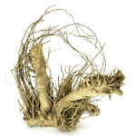 Коряга  UDeco Bamboo hair root M 15-30см