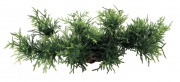 Композиция из искуственных растений ArtUniq Willow Moss