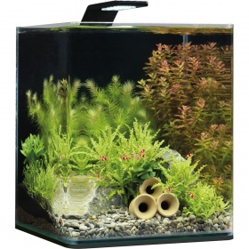 Нано-аквариум Dennerle NanoCube Basic 20 Style LED M
