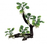 Декоративная композиция ArtUniq Branched Driftwood With Anubias nana M4